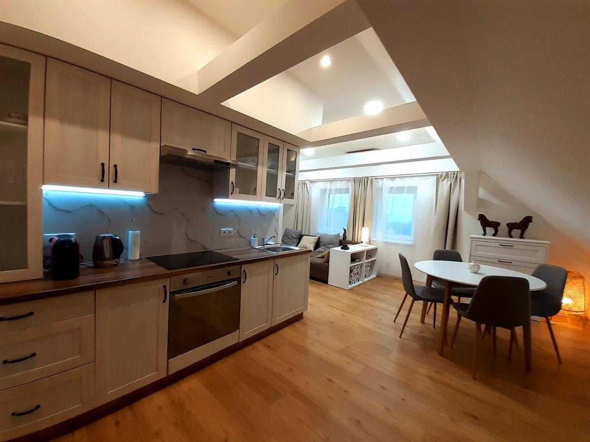 Apartmány v centru - Lázně Kynžvart Lázne Kynzvart Exterior foto