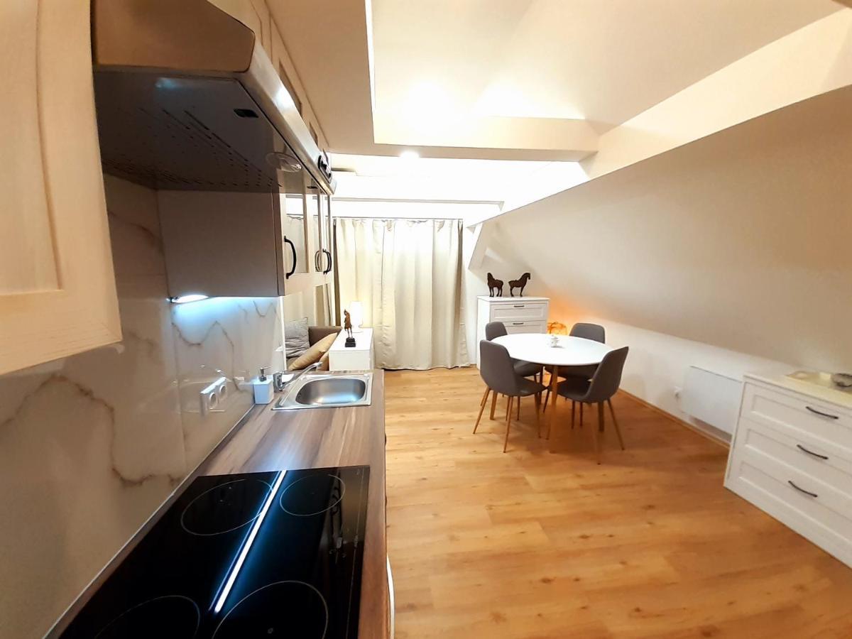 Apartmány v centru - Lázně Kynžvart Lázne Kynzvart Exterior foto